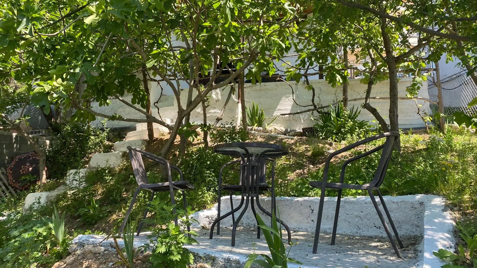 Noemi House Apartment Kruje Albania